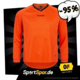 hummel York Game Jersey Langarm Trikot in Orange für 0,99 € bzw. 3,33 € in 8 weiteren Farben zzgl. 3,95 € Versand (statt 15 €)