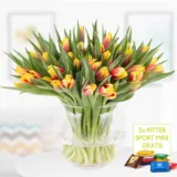 40 zweifarbige Tulpen 🌷 (rot-gelb) + 2 gratis Mini Schokis 🍫 für 24,95€ inkl. Versand