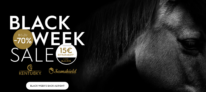 kavalio Black Week: 15 € Rabatt auf alle Artikel in der Black Week Kategorie (179 € MBW)